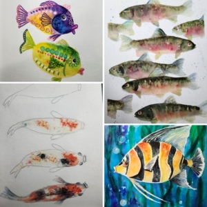 Examples fish paintings using the brusho technique by artist Jan Jamil.